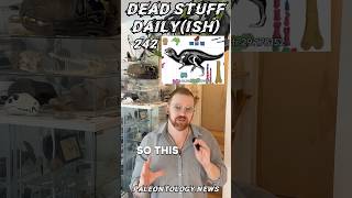 Baby Dinomeet Doolysaurus Huhmini