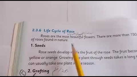 CLASS III SCIENCE PART 1 Unit :- 2 Topic:-Changes in living thing