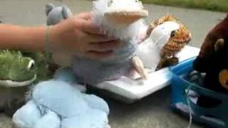 Webkinz Adventure part 2