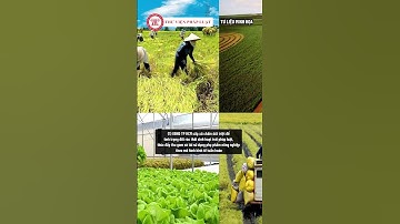 TP HCM yêu cầu kiểm soát bụi, chấm dứt đốt rác gây ô nhiễm không khí | THƯ VIỆN PHÁP LUẬT