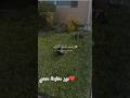  اكسبلور شاط دويتو تيك توك  قطط لايك ترند   في 