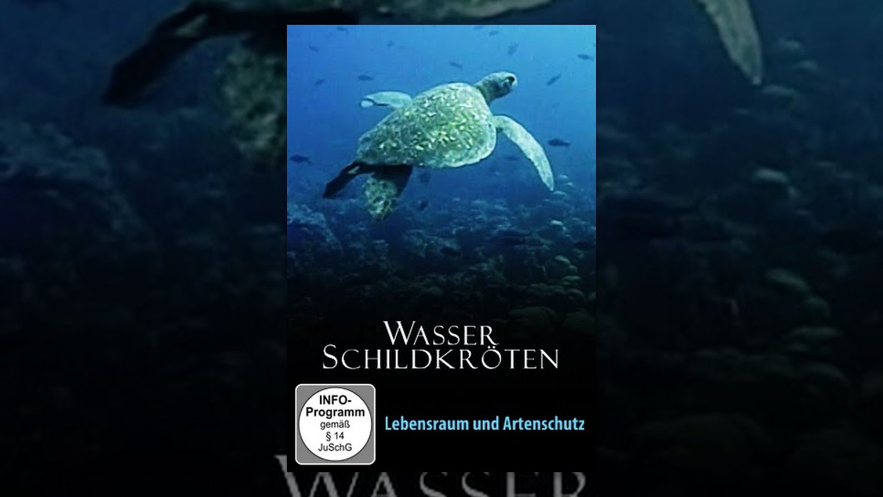 Wasserschildkröten - Lebensraum und Artenschutz