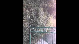 Mad World With Familiar Faces Sitting On Mine