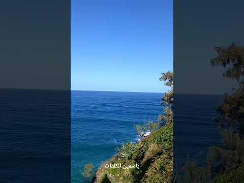 جديد جديد كارول سماحة ما بتنترك وحدك كلمات و الحان زياد الرحباني زياد الرحباني كارول سماحة