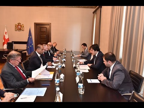 ირაკლი კობახიძის შეხვედრა ევროკავშირი-საქართველოს ასოცირების კომიტეტის წევრებთან