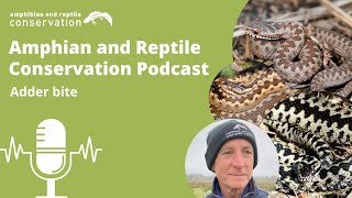 ARC Podcast - Adder bite