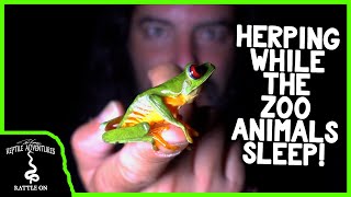 HERPING A REPTILE ZOO AT NIGHT!