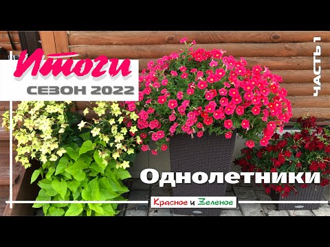 Цветочные композиции в корзинах и горшках для сада. Часть1