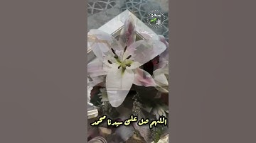 اللهم صل على سيدنا محمد #يوم_الجمعة #سورةالكهف #حالات_واتس #تصويري #جمعة_طيبة #short