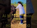 artificial Insemination | ai Maitri Training | ai Training | Dairy farm |