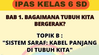 IPAS KELAS 6 BAB 1 TOPIK B_SISTEM SARAF PADA MANUSIA _KURIKULUM MERDEKA_bersatu bisa