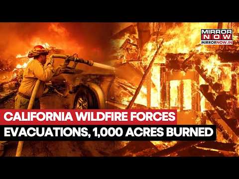 California Wildfire Explodes To 1,000 Acres! Bouquet Fire Triggers Evacuations Near Santa Clarita