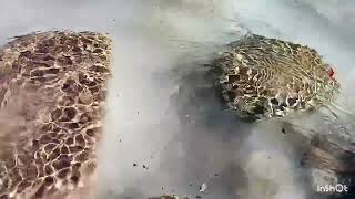 Relaxing Ice &amp; Stones Loop | Calm Ambient Guitar