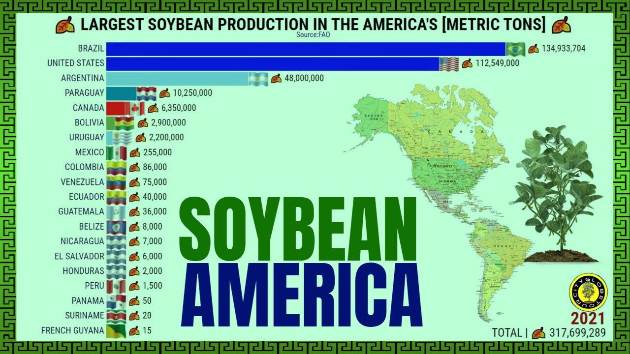 THE LARGEST SOYBEAN PRODUCERS IN THE AMERICA'S 🌿 YouTube
