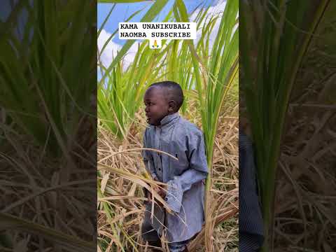 YOU WILL LAUGH NZALA STEALS MIVA KADAKWA