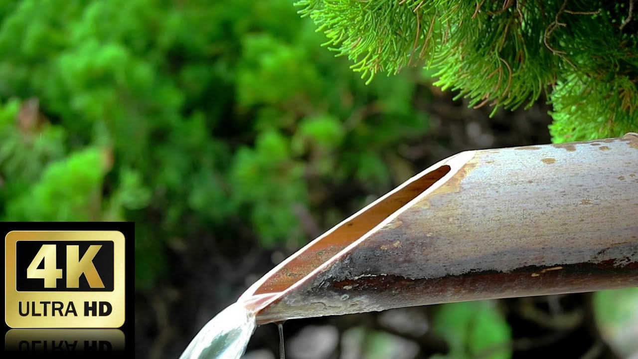 Japanese Hot Spring Water Pouring from Bamboo