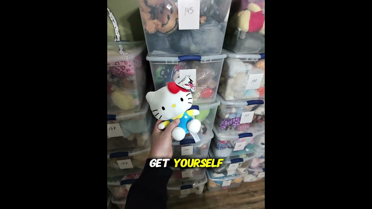 $1 Hello Kitty Plush Flip → $18.41 Sale on eBay! 🎀🔥 - YouTube