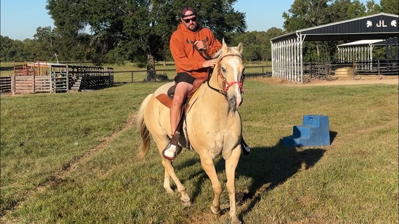 Riding my Rescue Horses - YouTube