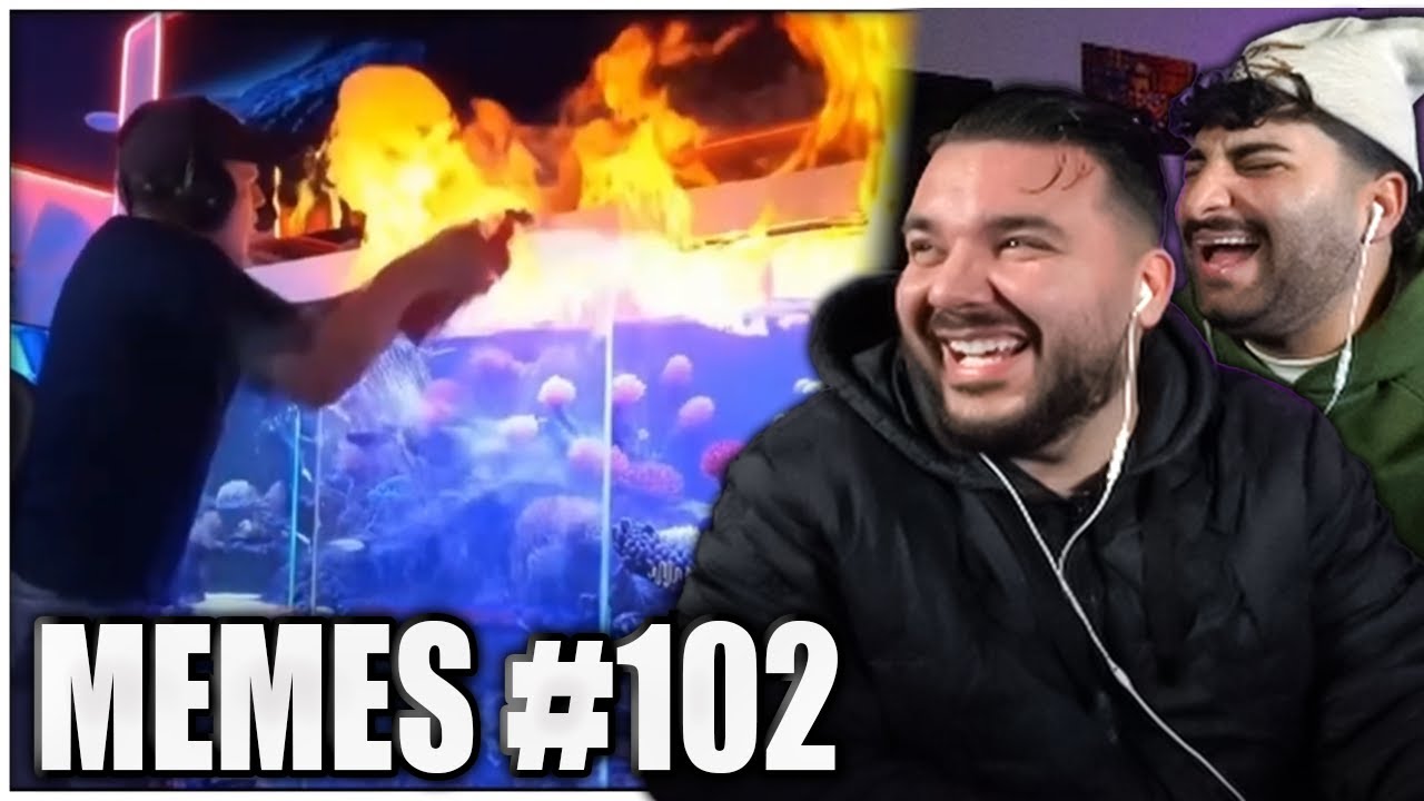 Monte dein Aquarium brennt 😂 EHRENLOSE MEMES #102