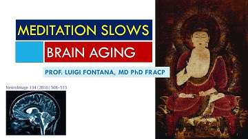 Meditation protects against brain aging throughout life | Neuroimage 2016