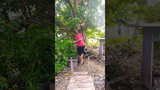 Anak Lakilaki Gak Bisa Diam funny comedy masukberanda