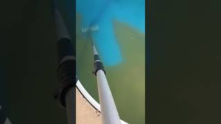 Pool Cleaning: Algae removal