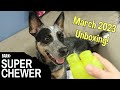 Bark super chewer march 2023 unboxing  must see for the cuteness