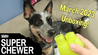 Bark Super Chewer March 2023 Unboxing  Must See For The Cuteness!