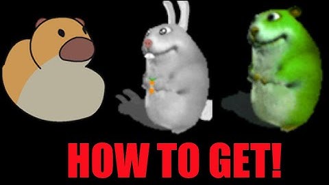 Tutorial to get the Chomik Duck, Rabbik and, Green Chomik! | Roblox Find the Chomik
