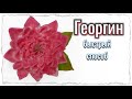 Георгин из полимерной глины / цветы из полимерной глины/