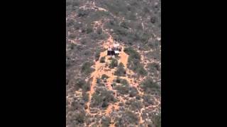 IMG 5471