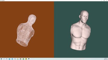 VTK Python Test - Triangulate- Torso