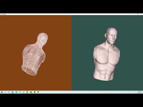 VTK Python Test - Triangulate- Torso