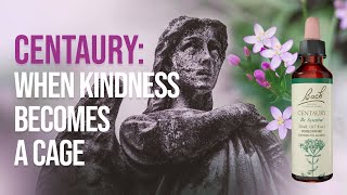 Centaury (Bach Flower Remedy) | When You Lose Yourself in Others