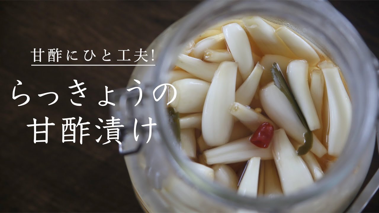 【3日で完成】簡単!らっきょうの漬け方(らっきょうの甘酢漬け) - YouTube