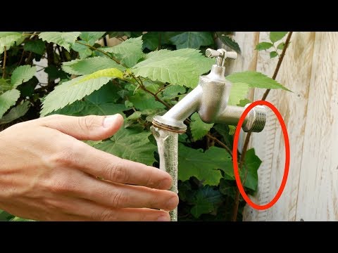 Ce que j'ai vu dans le jardin de ma voisine m'a coupé le souffle. Ce que j'ai vu dans le jardin de ma voisine m'a coupé le souffle.