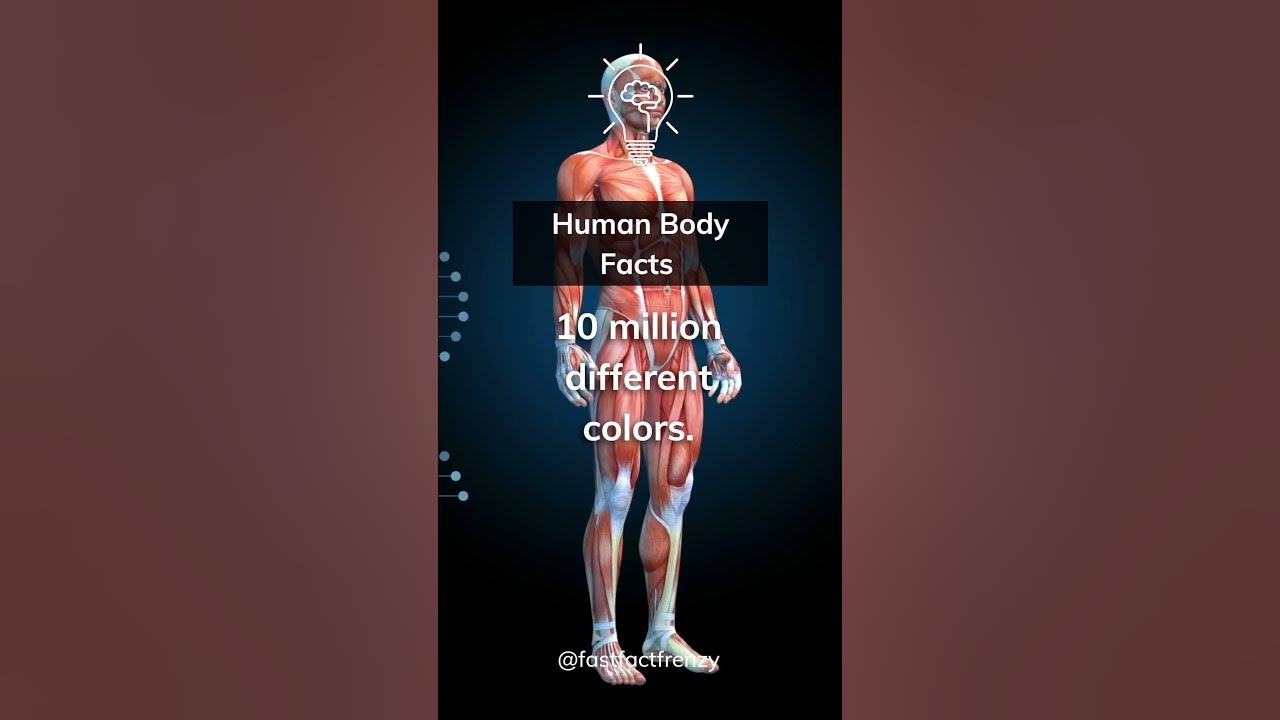 How many colors can the human eye see shorts visionfacts youtube