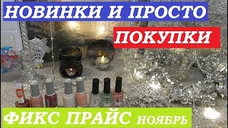 Новинки из Фикс Прайса и приятные открытия в НОЯБРЕ! Классные покупки к Новому году и не только!