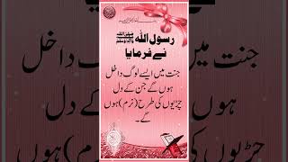 People will enter Paradise whose hearts are as soft as sparrows #hadees #shorts #sahihbukhari screenshot 5