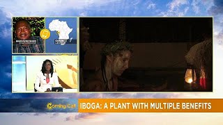 Gabon prepares for first international forum on Iboga [Morning Call]