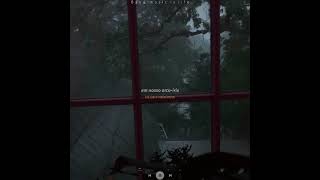 The Irrepressibles - In This Shirt Para Statuslegendado Edit