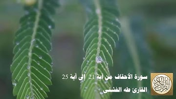طه الفشني - سورة الأحقاف من آية ٢١ إلى آية ٢٥ - وَاذْكُرْ أَخَا عَادٍ إِذْ أَنذَرَ قَوْمَهُ ...