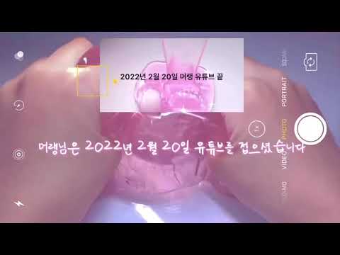 머랭님 2ㅊㅏ 공론화