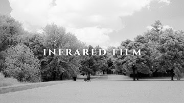 Shooting Infrared Film | Rollei IR 400