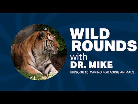 Wild Rounds With Dr. Mike: Episode 10