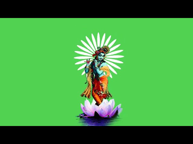 Παρακολούθηση green video sree Hari krish 🌼 στο YouTube Παρακολούθηση green video sree Hari krish 🌼 στο YouTube