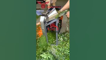 Máy thái sợi cà rốt, củ cải chạy điện