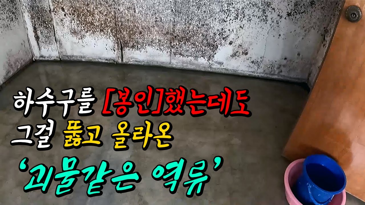 다가구 반지하 바닥 역류, 모래·기름 제거 현장 영상 썸네일