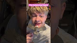 The balancing Eagle! 😦 #shorts #challenge #lifehacks