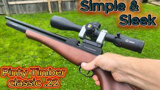 Less common but awesome Pinty Timber Classic pcp #airgun